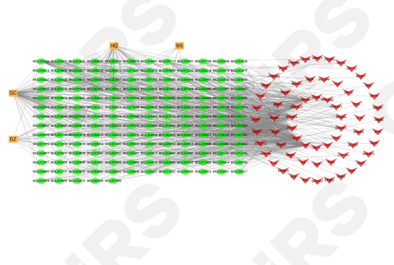 活性原料,藥理學,化妝品,原料,開發(fā)