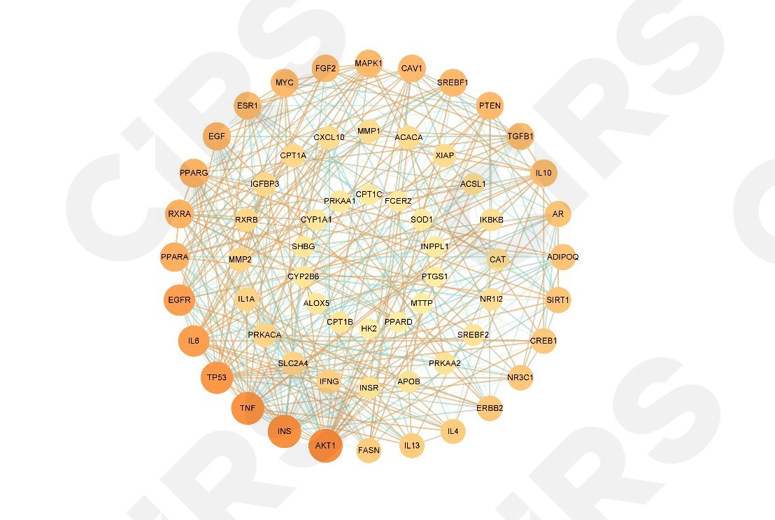 活性原料,藥理學,化妝品,原料,開發(fā)