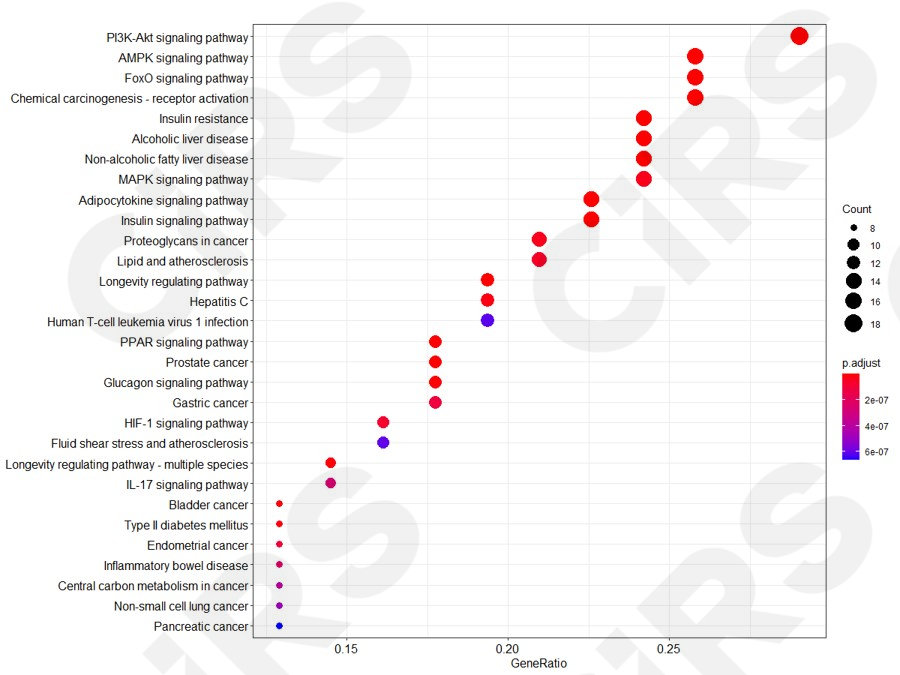 活性原料,藥理學,化妝品,原料,開發(fā)