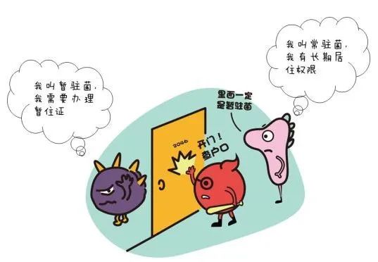 皮膚,微生態,皮膚感染,皮膚微生物,化妝品