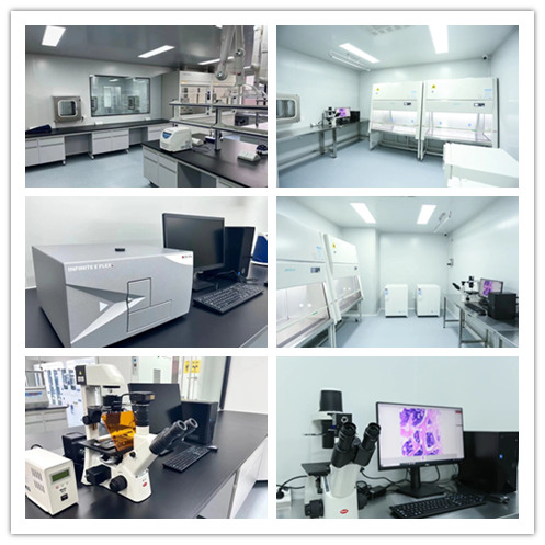 瑞旭科新生物,化妝品功效,日化品,瑞旭集團(tuán),希科檢測,注冊備案