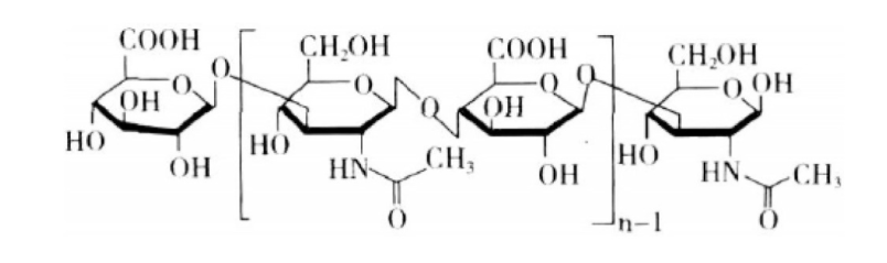 化妝品,保濕,化妝品保濕,透明質酸,神經酰胺,角鯊烷