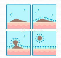 洗發水,頭發,洗發水配方,去屑止癢,氨基酸型洗發水,無硅油洗發水
