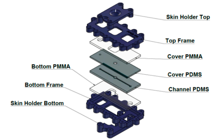 新型皮膚,芯片,化妝品安全,功效評(píng)價(jià)