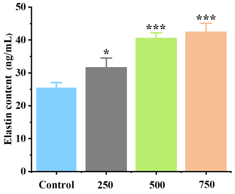 體外細胞培養,模型,化妝品抗衰,功效評價