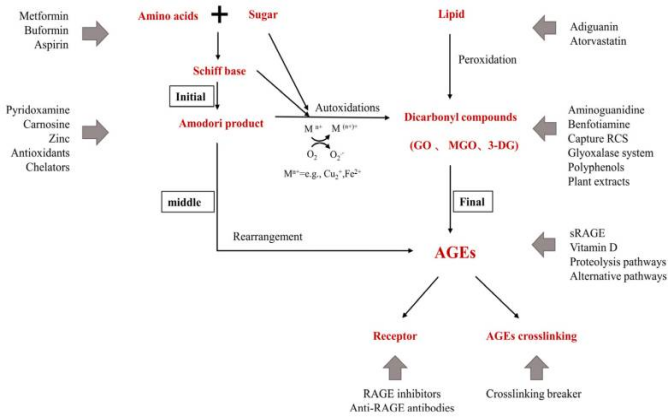 肌膚,化妝品,抗糖化,功效,評估