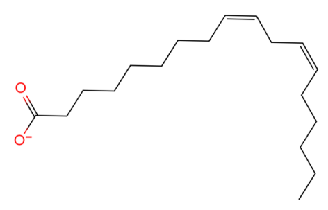 美白,功效原料,信號通路,黑素轉(zhuǎn)移,百里香醌