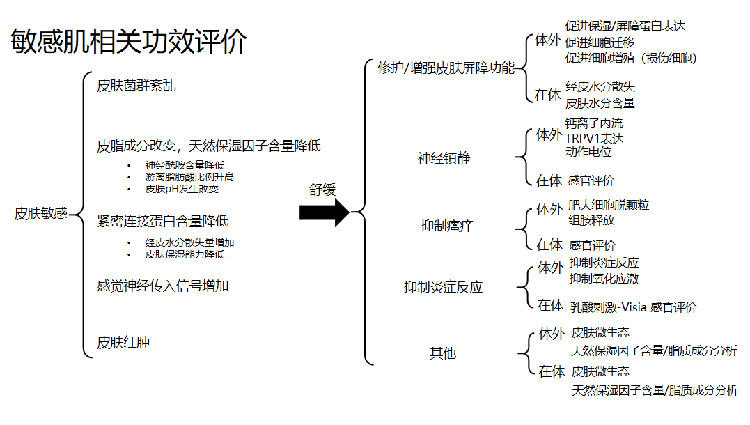 敏感肌,護理類,成分,功效評估