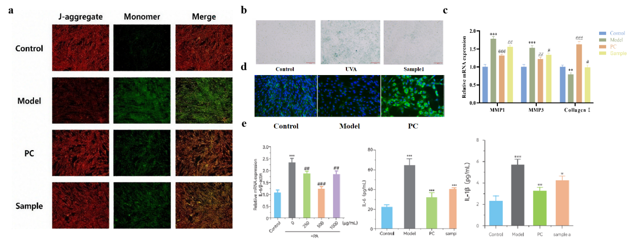 抗炎,PDRN,再生醫(yī)學,護膚前沿,皮膚微生態(tài),安全性評估